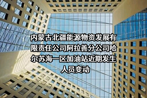 内蒙古北疆能源物资发展有限责任公司阿拉善分公司哈尔苏海一区加油站