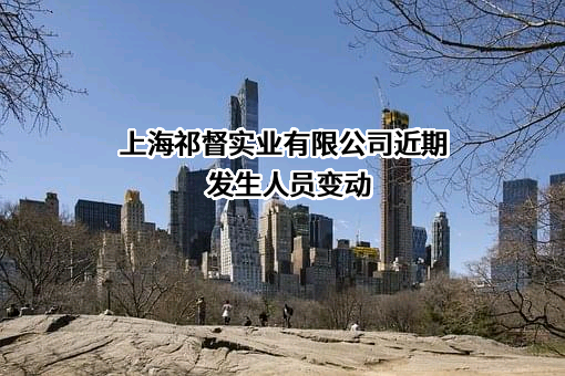 上海祁督实业有限公司