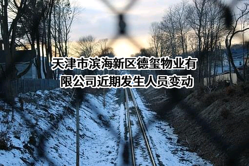 天津市滨海新区德玺物业有限公司