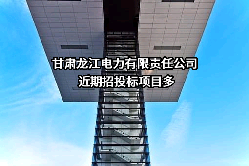 甘肃龙江电力有限责任公司近期招投标项目多