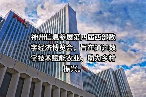 神州数码信息服务股份有限公司