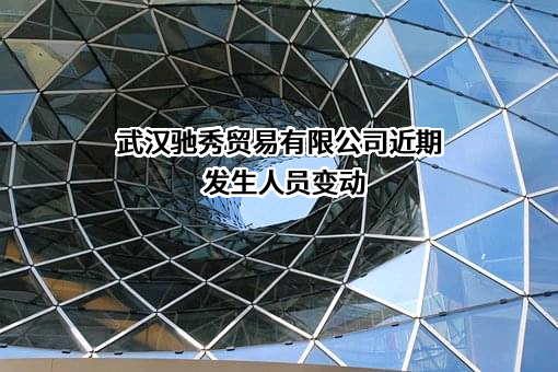 武汉驰秀贸易有限公司