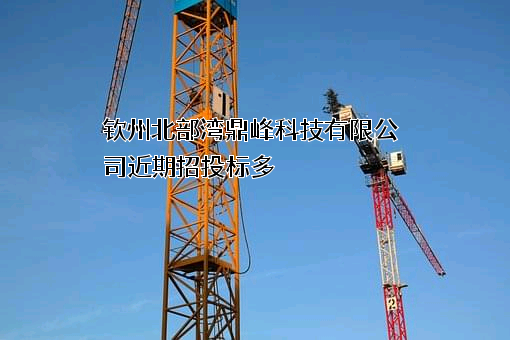 钦州北部湾鼎峰科技有限公司