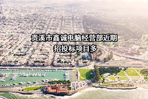 贵溪市鑫诚电脑经营部