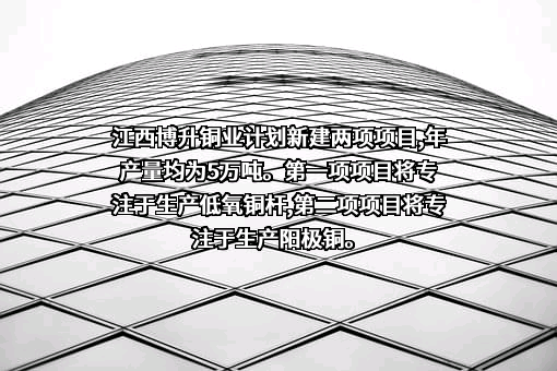 江西博升铜业有限公司