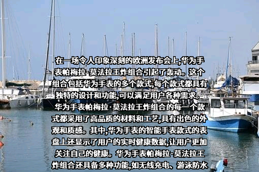 华为技术有限公司