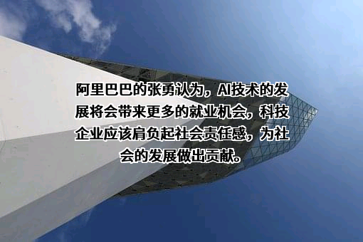 阿里巴巴（中国）网络技术有限公司