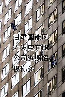 甘肃国能风力发电有限公司