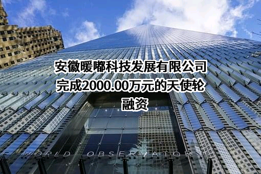 安徽暖嘟科技发展有限公司完成2000.00万元的天使轮融资