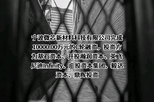 宁波微芯新材料科技有限公司