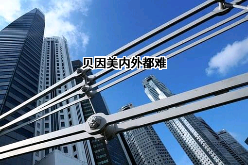 贝因美内外都难