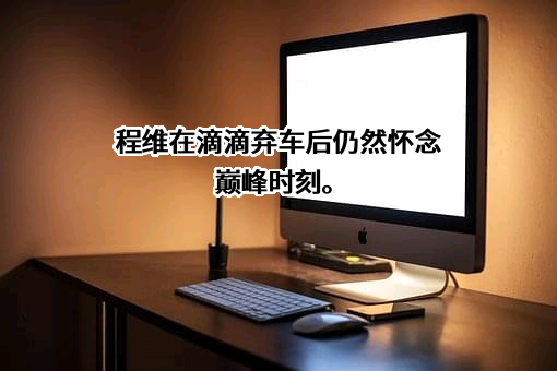 上海滴滴沃芽科技有限公司