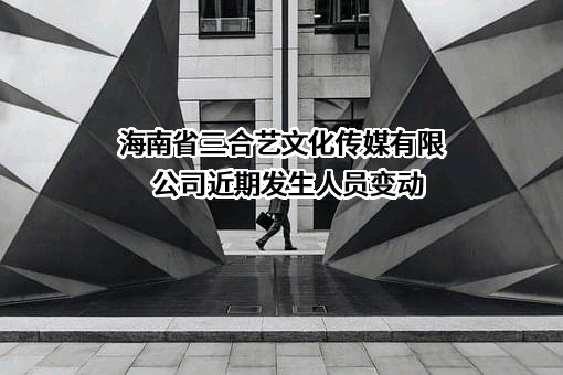 海南省三合艺文化传媒有限公司