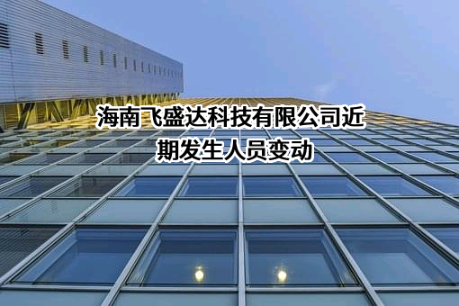 海南飞盛达科技有限公司