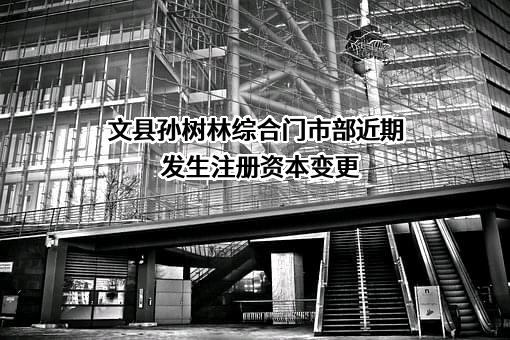 文县孙树林综合门市部