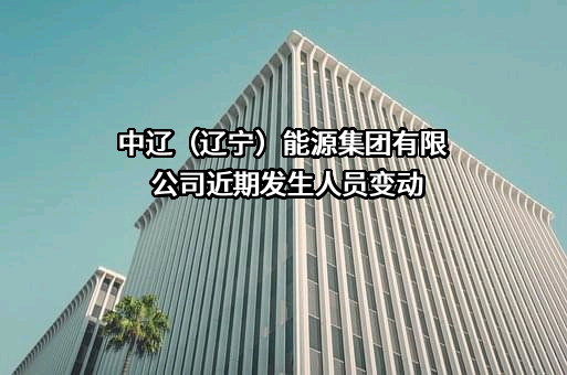 中辽（辽宁）能源集团有限公司