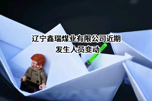 辽宁鑫瑞煤业有限公司