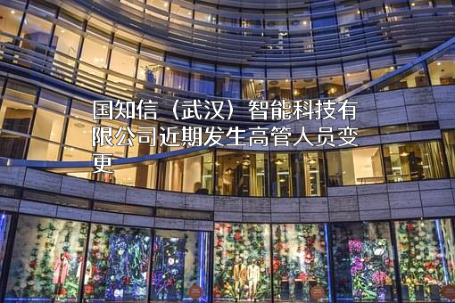 国知信（武汉）智能科技有限公司