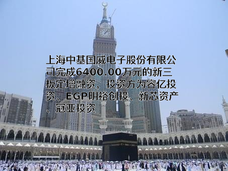 上海中基国威电子股份有限公司
