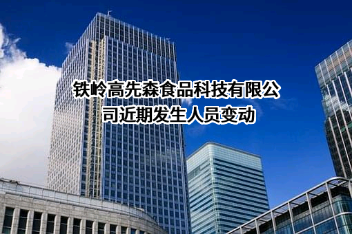 铁岭高先森食品科技有限公司