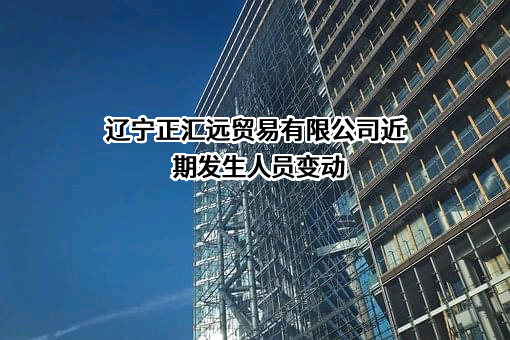 辽宁正汇远贸易有限公司