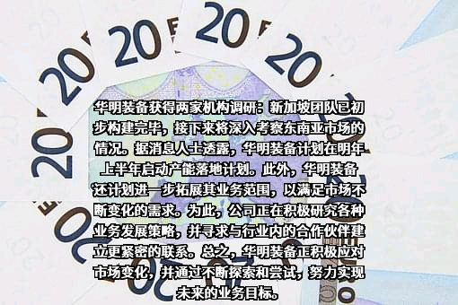 华明电力装备股份有限公司