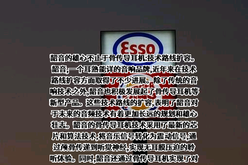 河南韶音实业有限公司