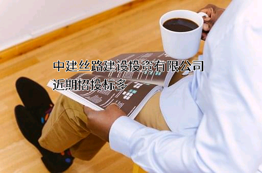 中建丝路建设投资有限公司