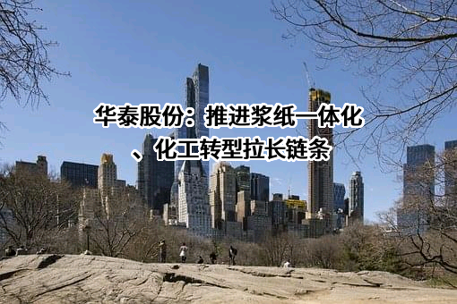 山东华泰纸业股份有限公司