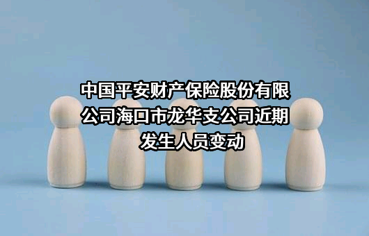中国平安财产保险股份有限公司海口市龙华支公司