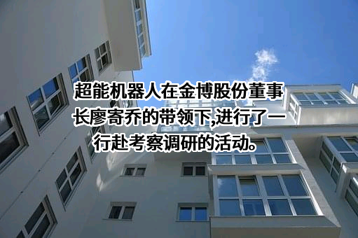 湖南金博碳素股份有限公司