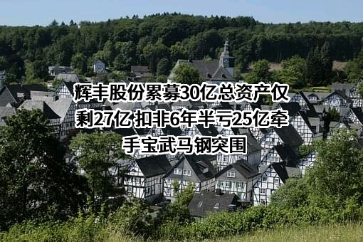 辉丰股份累募30亿总资产仅剩27亿 扣非6年半亏25亿牵手宝武马钢突围