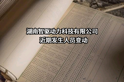 湖南智驱动力科技有限公司
