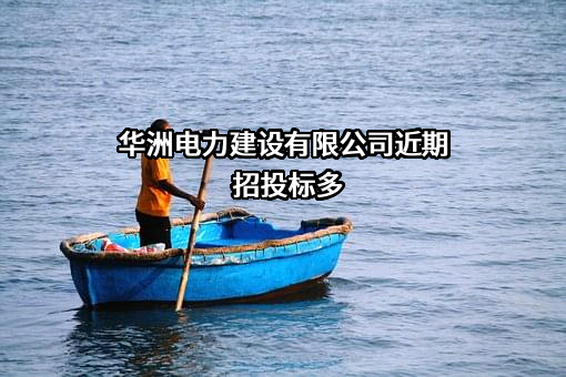 华洲电力建设有限公司