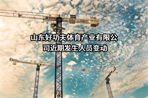 山东好功夫体育产业有限公司
