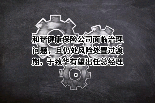 和谐健康保险股份有限公司