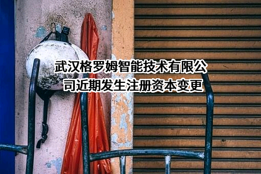 武汉格罗姆智能技术有限公司