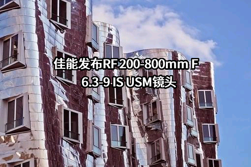 佳能（中国）有限公司