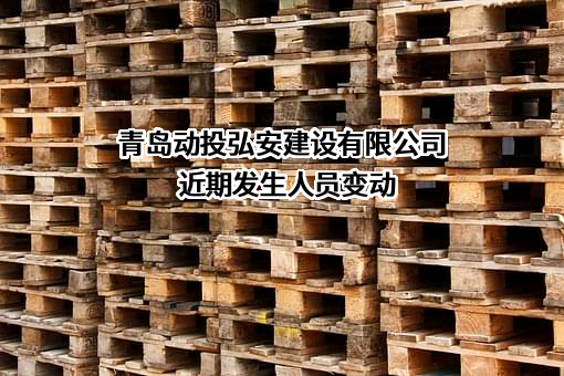 青岛动投弘安建设有限公司