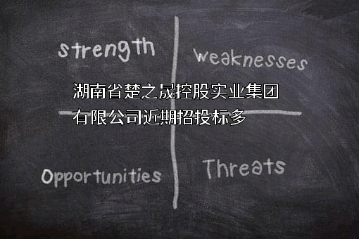 湖南省楚之晟控股实业集团有限公司近期招投标项目多