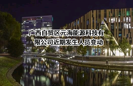 广西自贸区元海能源科技有限公司