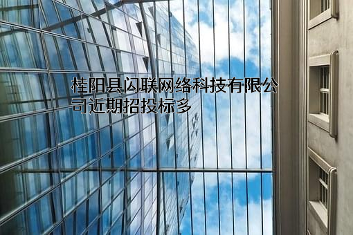 桂阳县闪联网络科技有限公司