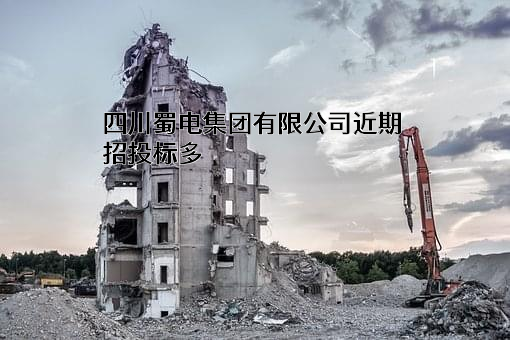 四川蜀电集团有限公司
