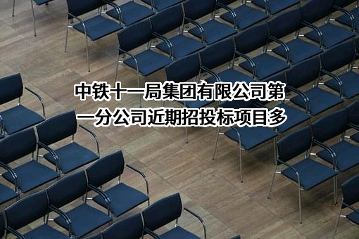 中铁十一局集团有限公司第一分公司