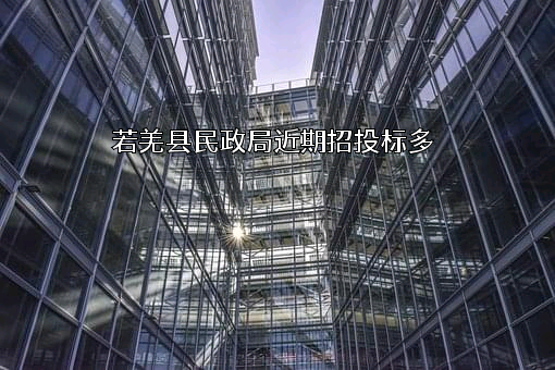 若羌县民政局