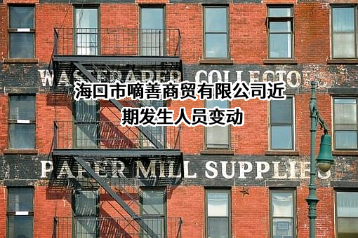 海口市嘀善商贸有限公司