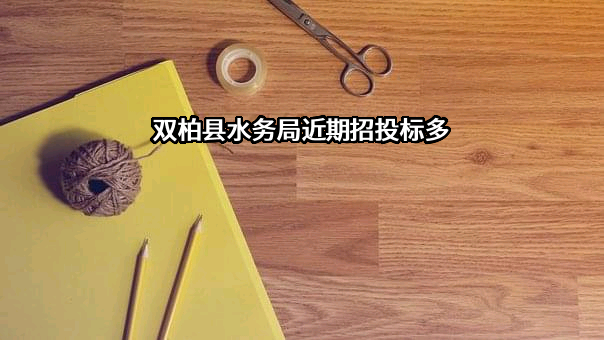 双柏县水务局近期招投标项目多
