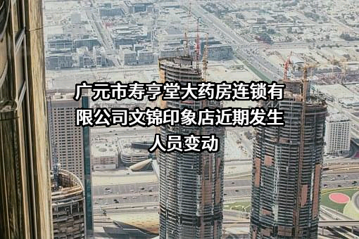 广元市寿亨堂大药房连锁有限公司文锦印象店
