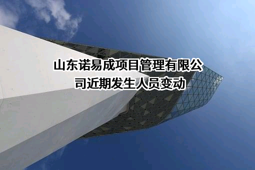 山东诺易成项目管理有限公司