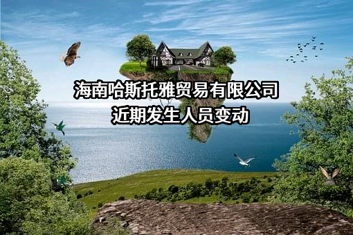 海南哈斯托雅贸易有限公司